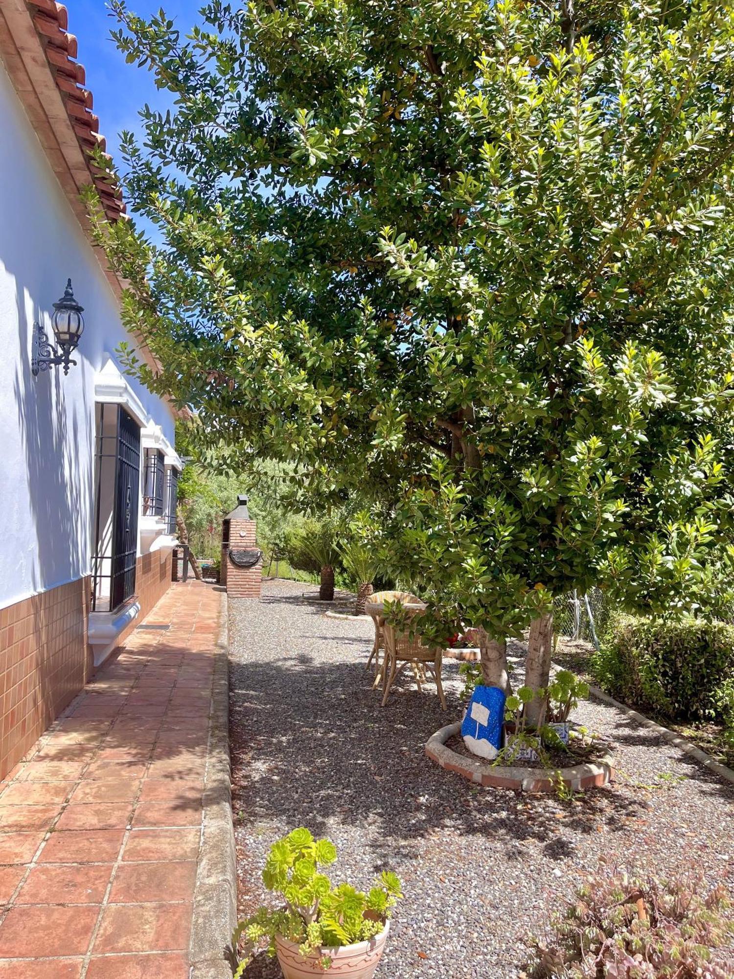 Jubrique Finca Rural Mazuqueto מראה חיצוני תמונה